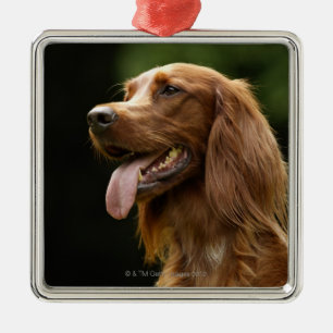 Irish Setter 2 Metal Tree Decoration