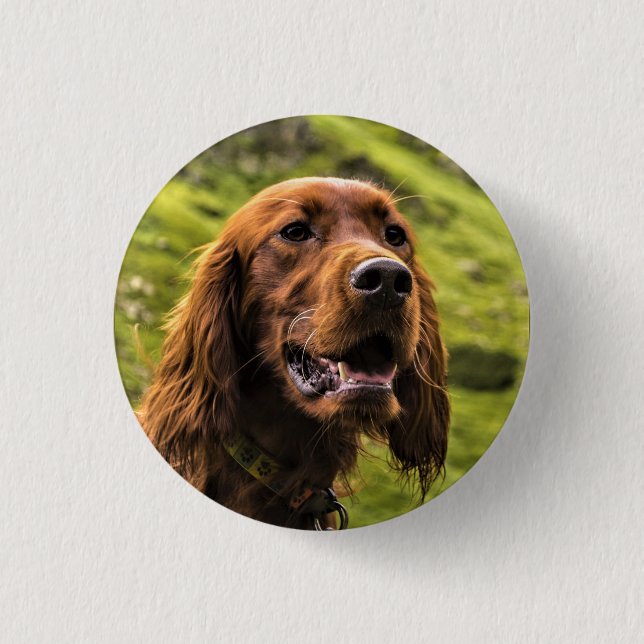 Irish Setter 3 Cm Round Badge (Front)