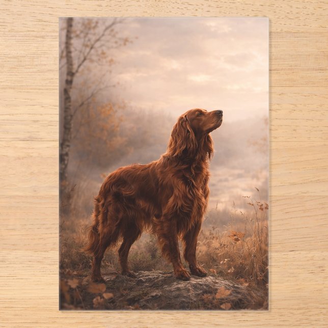 Irish Setter Acrylic Invitations (Front)