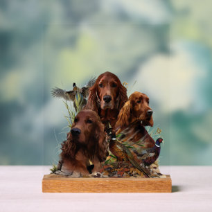 Irish Setter Acrylic Sign