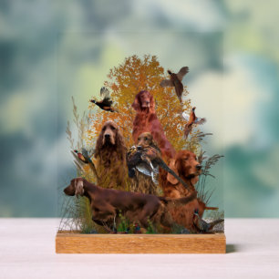 Irish Setter Acrylic Sign