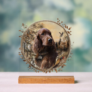Irish Setter Acrylic Sign