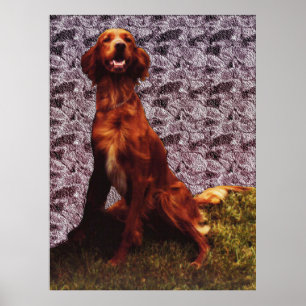 Irish Setter and Patterned Concrete Wall Poster