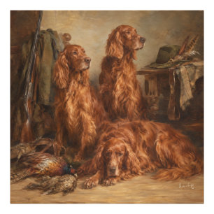 Irish Setter  ,Art  Photo Print