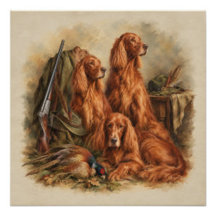 Irish Setter ,Art Poster