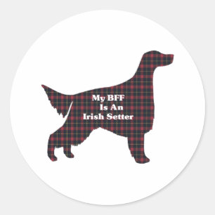 Irish Setter BFF Sticker