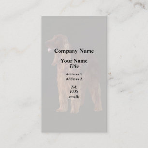 Irish Setter Business Card