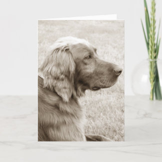 Irish Setter Card