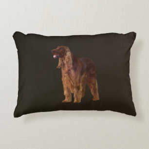 Irish Setter Decorative Cushion