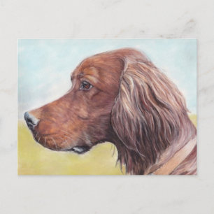 Irish Setter Dog Art Postcard