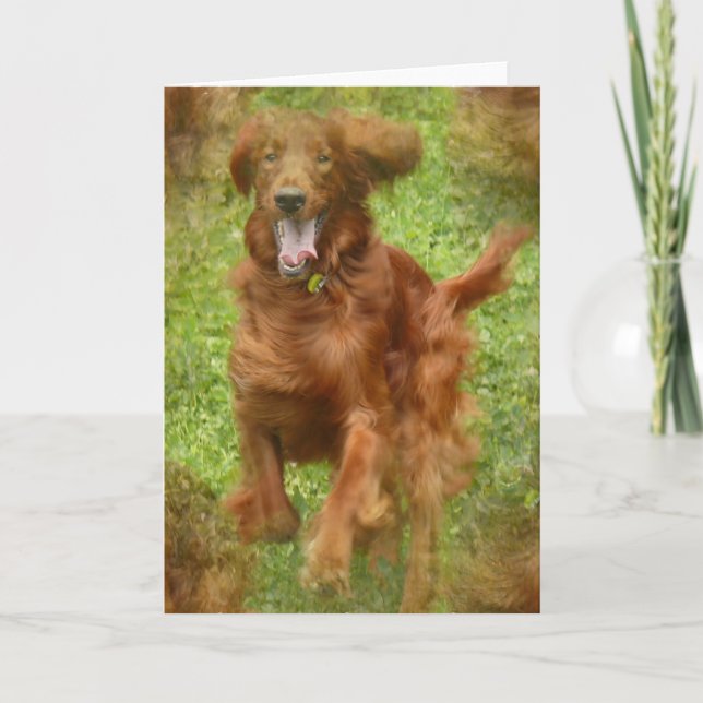 Irish Setter Dog Greeting Card (Front)