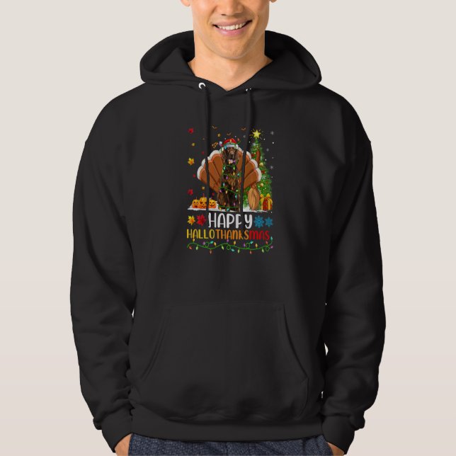 Irish Setter Dog   Irish Setter Hellothanksmas Hoodie (Front)