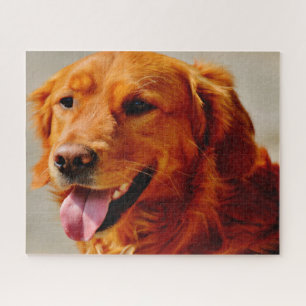 Irish Setter Dog. Jigsaw Puzzle