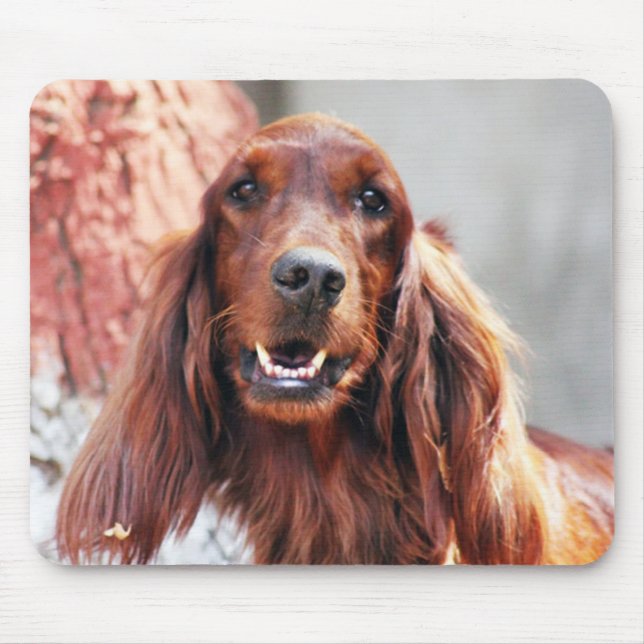 Irish Setter Dog Mouse Mat (Front)