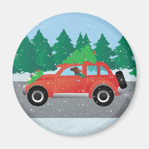 Irish Setter Driving a Car with a tree on top. Magnet