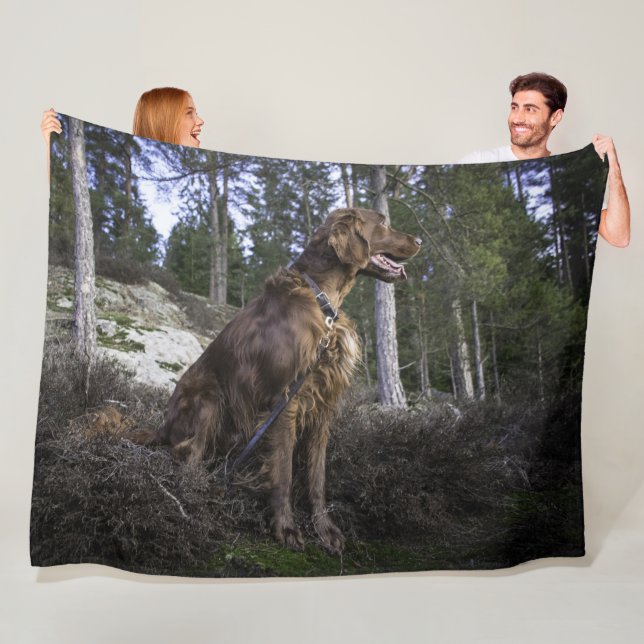 IRISH SETTER FLEECE BLANKET (In Situ)