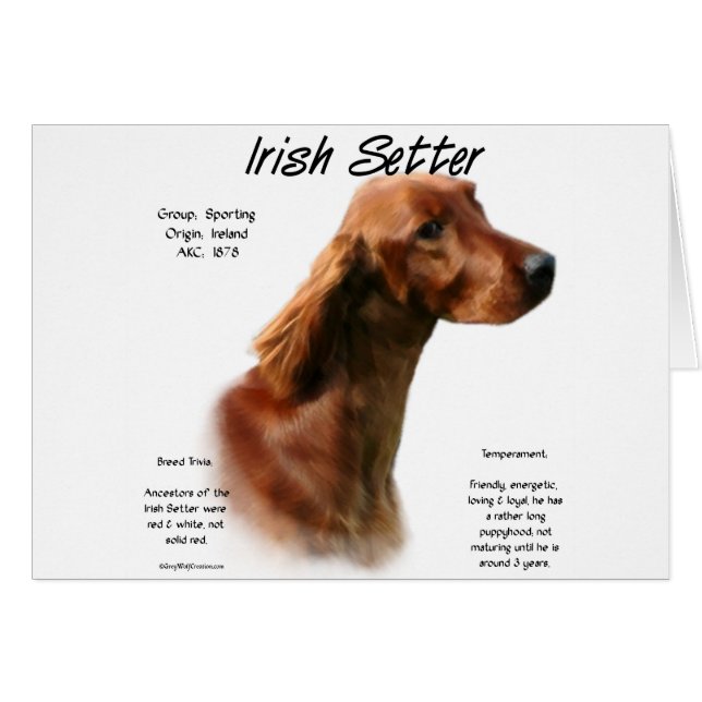Irish Setter History Design (Front Horizontal)