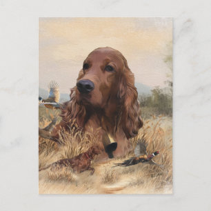 Irish Setter Hunting Pheasant ,Art Postcard