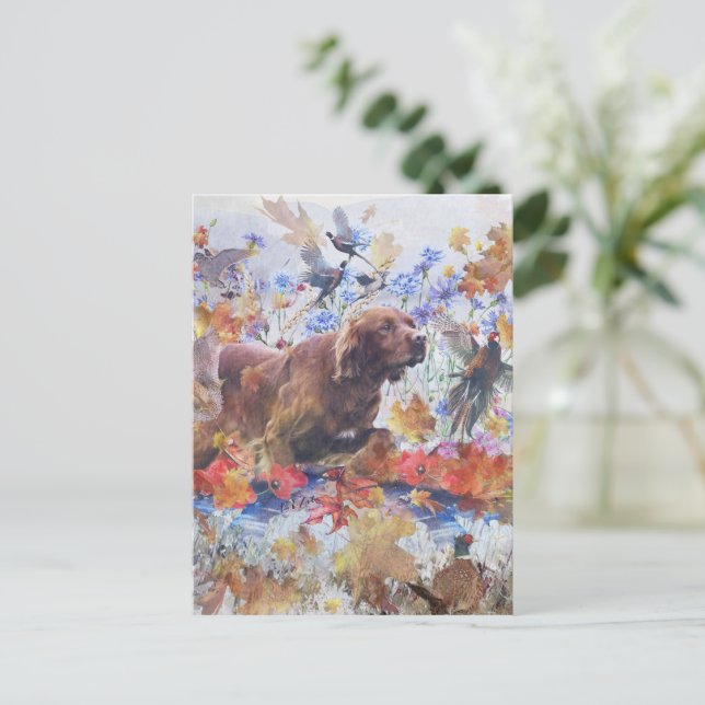 Irish Setter hunting  Postcard (Standing Front)