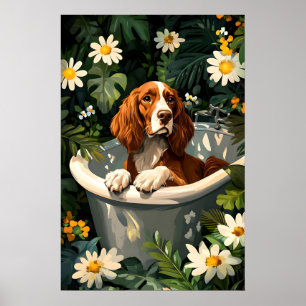 Irish Setter In Bathtub Poster, Funny Dog Poster
