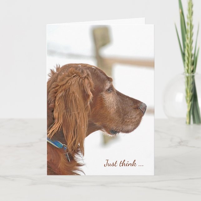 Irish Setter in snow for friendship Card (Front)