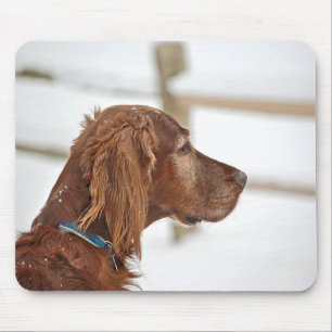 Irish Setter in snow Mouse Mat