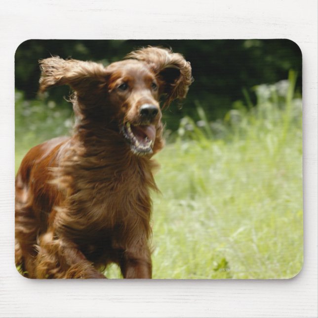 Irish Setter Mouse Mat (Front)