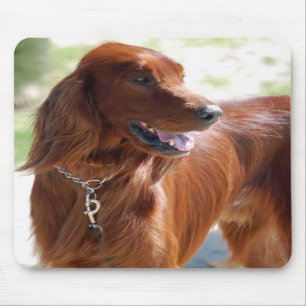 Irish Setter Mousepad
