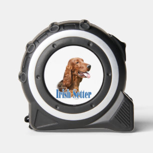 Irish Setter Name 1
