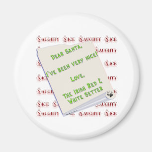 Irish Setter Naughty Nice Magnet