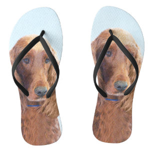 Irish Setter Painting - Cute Original Dog Art Flip Flops