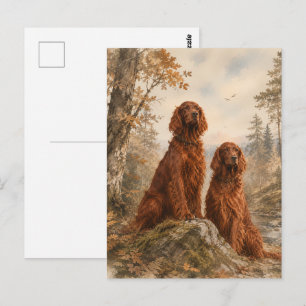  Irish Setter   Postcard