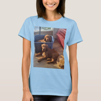 Irish Setter Puppies T-shirt