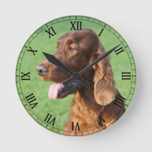 Irish Setter Round Clock
