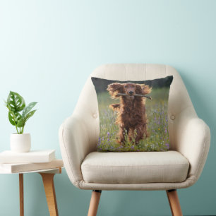 Irish Setter Running with a Stick Cushion