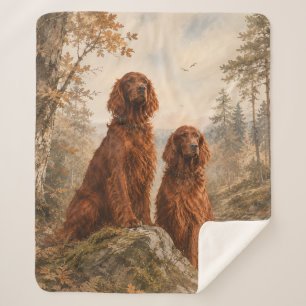  Irish Setter   Sherpa Blanket