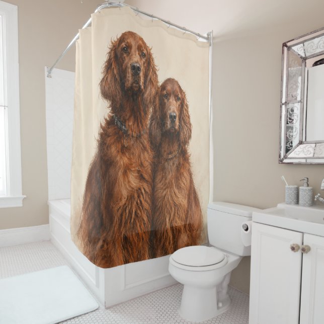  Irish Setter   Shower Curtain (In Situ)