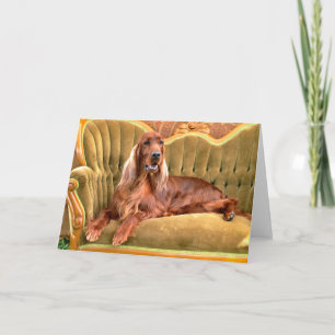Irish Setter Sophie Card
