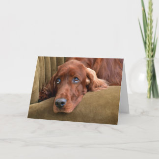 Irish Setter - Sophie Gazing Card