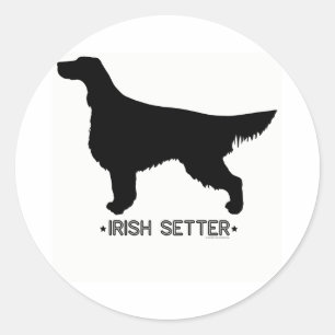 Irish Setter Sticker