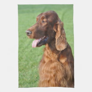 Irish Setter Tea Towel