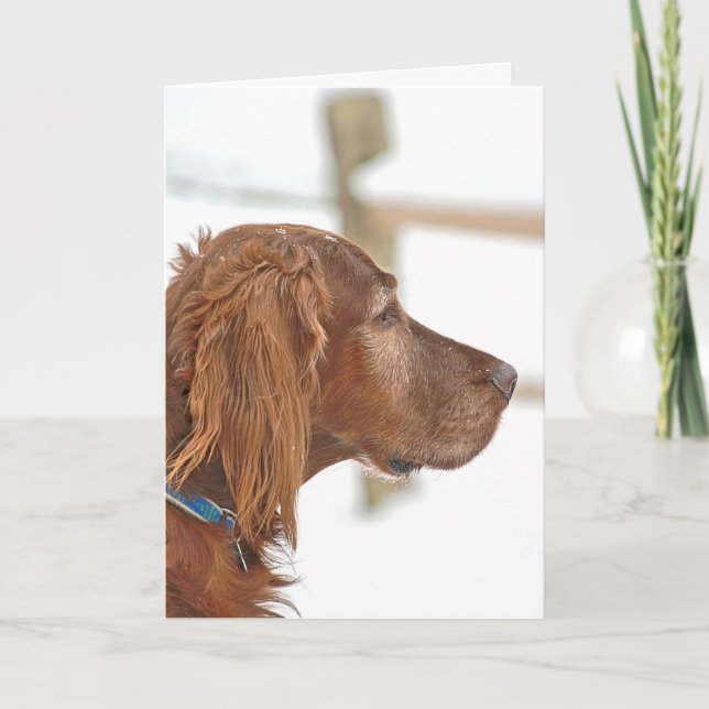 Irish Setter-thinking of you Card (Front)