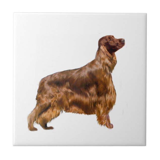 Irish Setter Tile (Front)