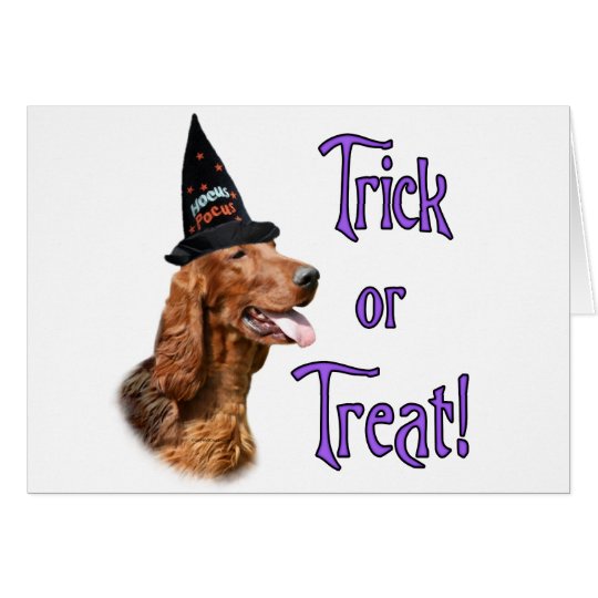 Irish Setter Trick Card