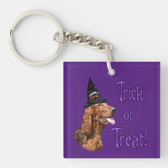 Irish Setter Trick Key Ring (Front)