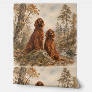 Irish Setter   Wallpaper
