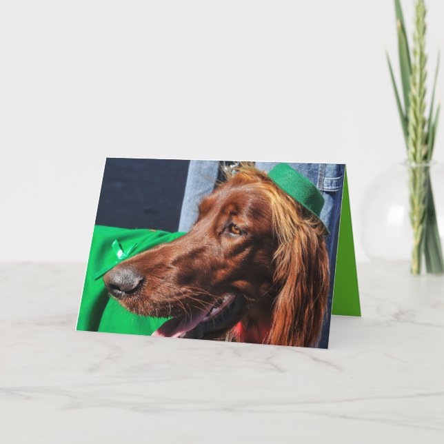 IRISH SETTER WEARING GREEN ST.PATRICK'S DAY HOLIDAY CARD (Front)