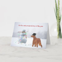 Irish Setter With Holiday Snowman