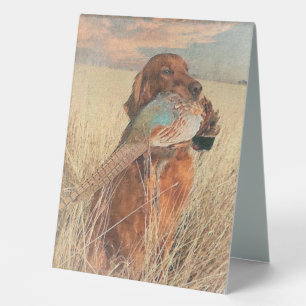 Irish Setter with pheasant