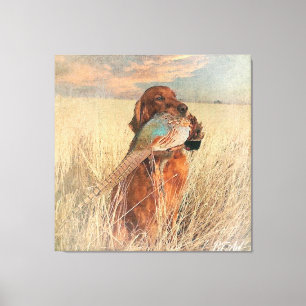 Irish Setter with pheasant  Canvas Print